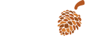PinionLogo